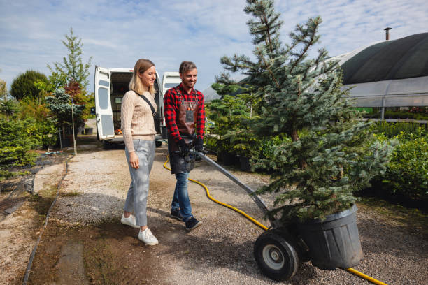 Best Tree Trimming Near Me  in Mount Oliver, PA